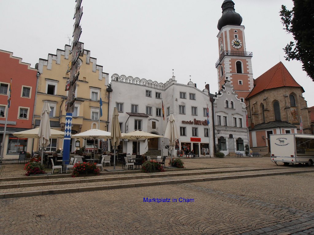 P8130321