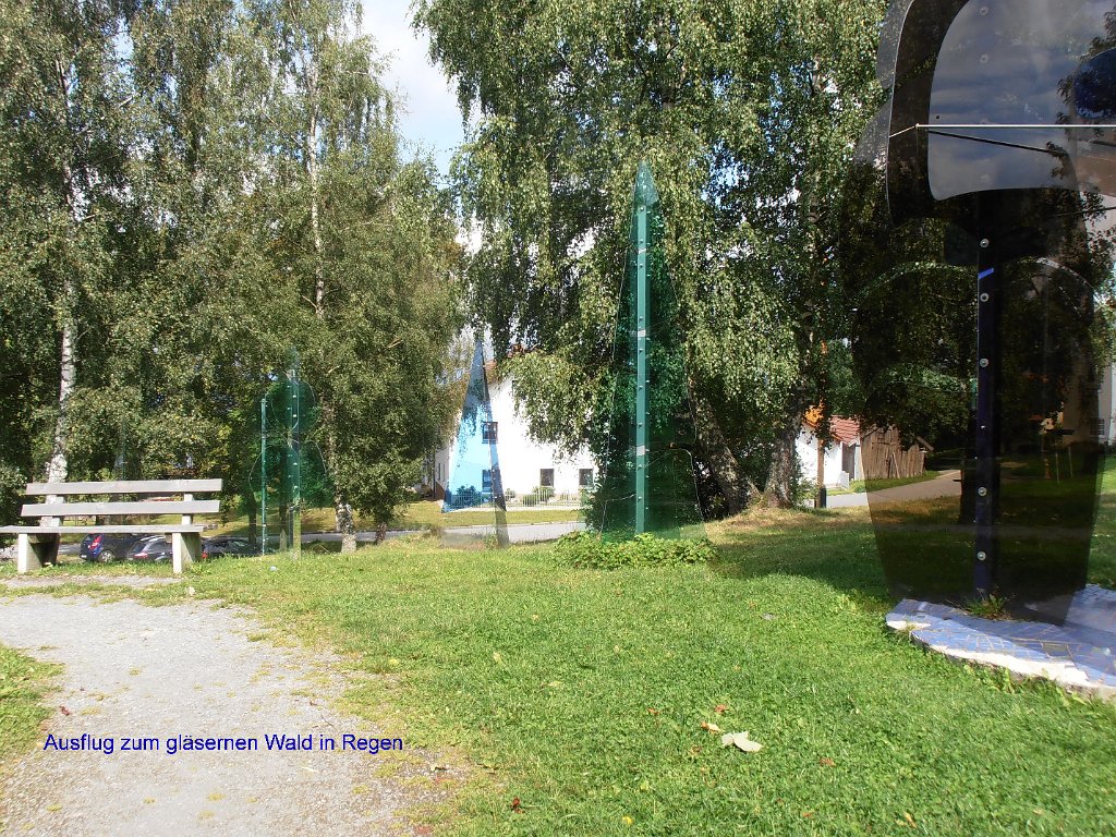 P8140360