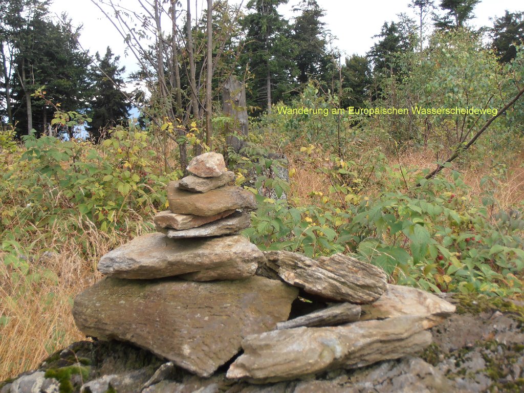 P8150395