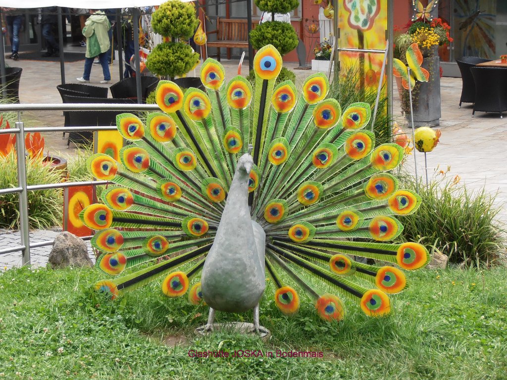 P8170408